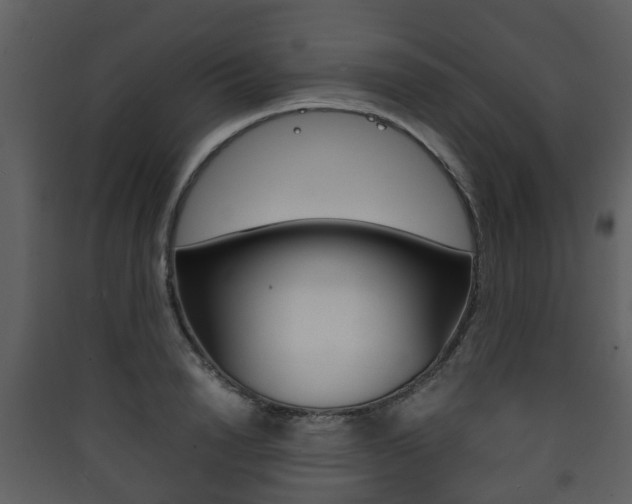 X0000090410846200707130923
