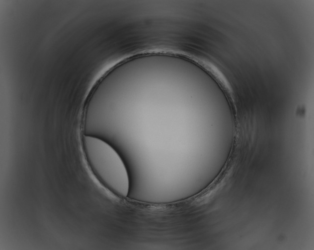 X0000090410847200707130923