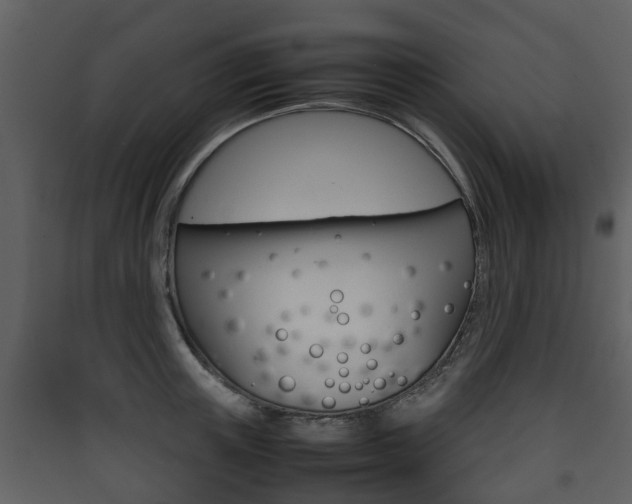 X0000090410851200707130923