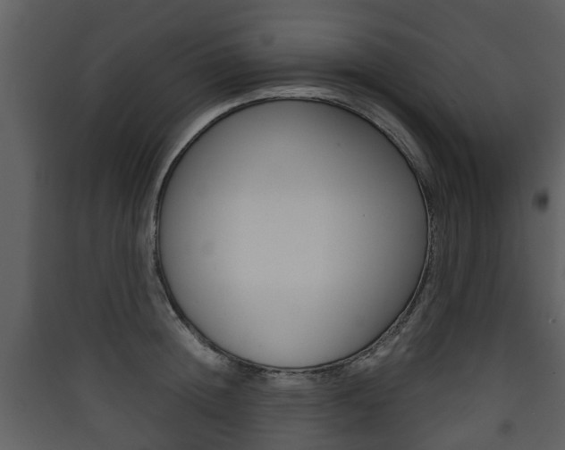 X0000090410852200707130923