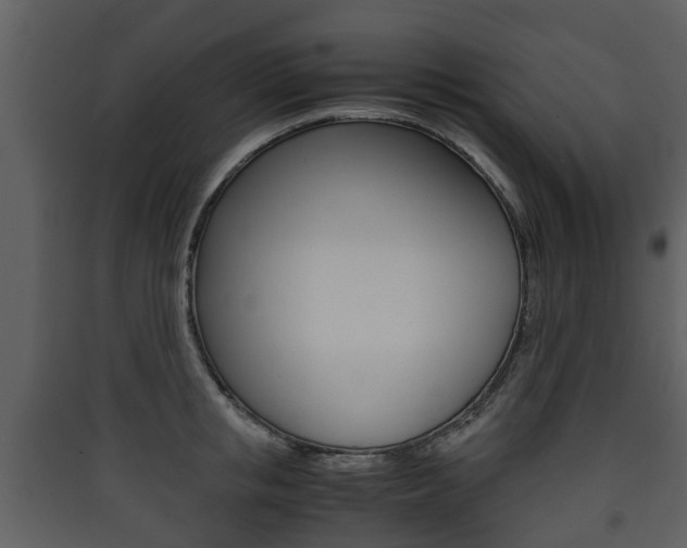 X0000090410853200707130923