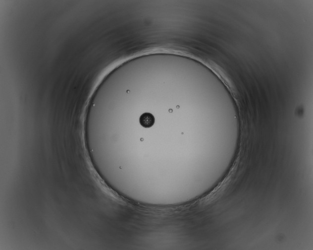 X0000090410854200707130923