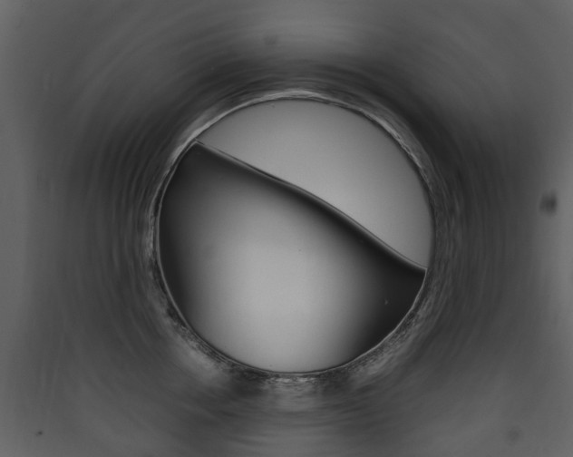 X0000090410858200707130923