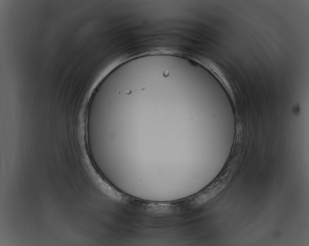 X0000090410859200707130924