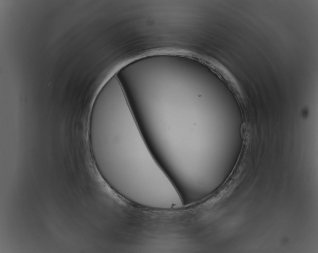 X0000090410860200707130924