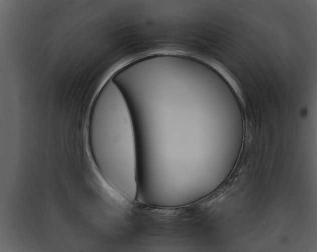 X0000090410861200707130924