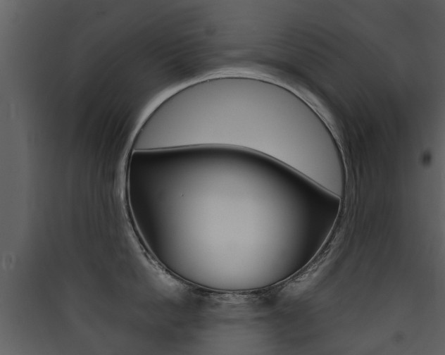 X0000090410862200707130924
