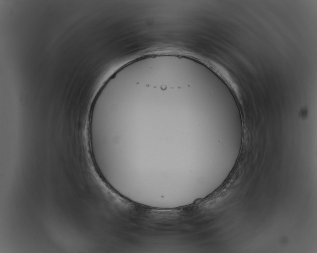 X0000090410863200707130924