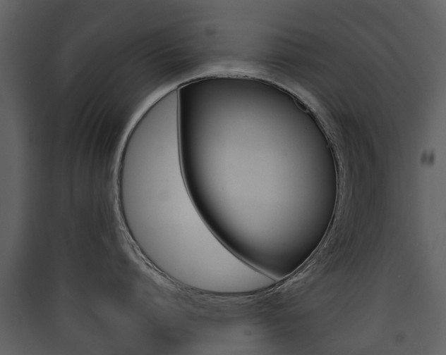 X0000090410864200707130924