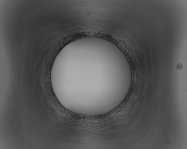 X0000090410865200707130923