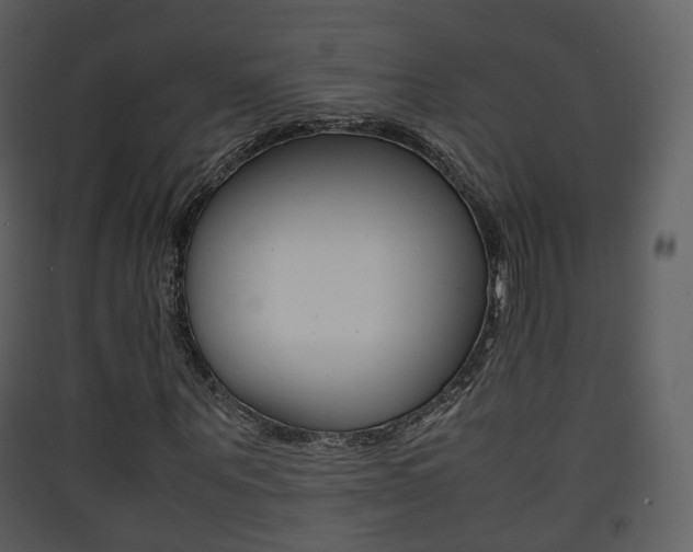 X0000090410867200707130923
