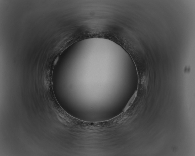 X0000090410868200707130923
