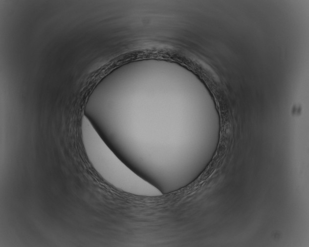 X0000090410869200707130923