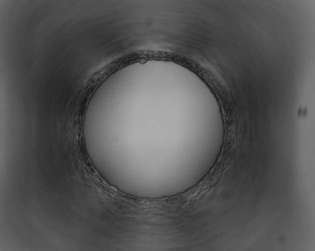 X0000090410870200707130923