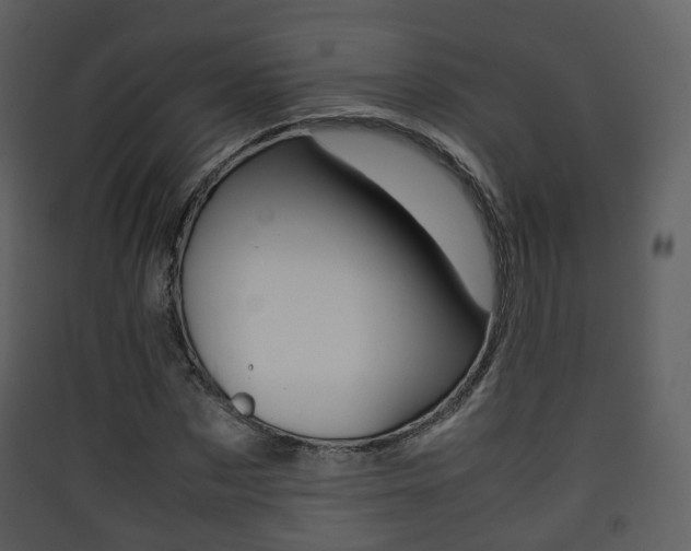 X0000090410873200707130923