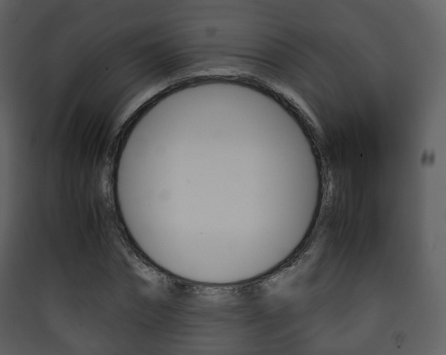 X0000090410874200707130923