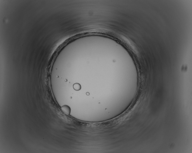 X0000090410875200707130923