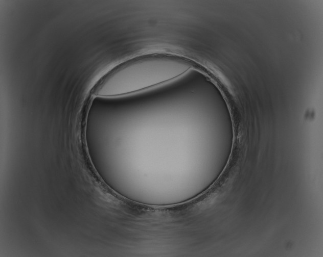 X0000090410877200707130923