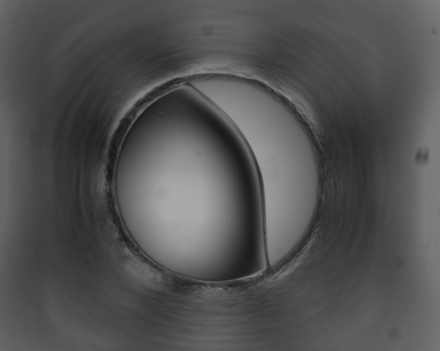 X0000090410880200707130923