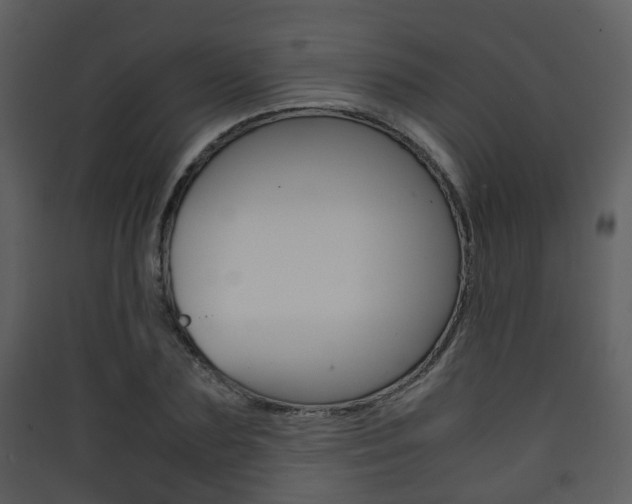 X0000090410883200707130923
