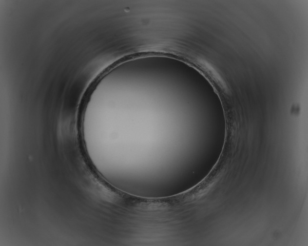 X0000090410884200707130923