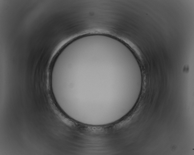 X0000090410886200707130923