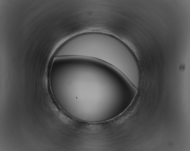 X0000090410888200707130922