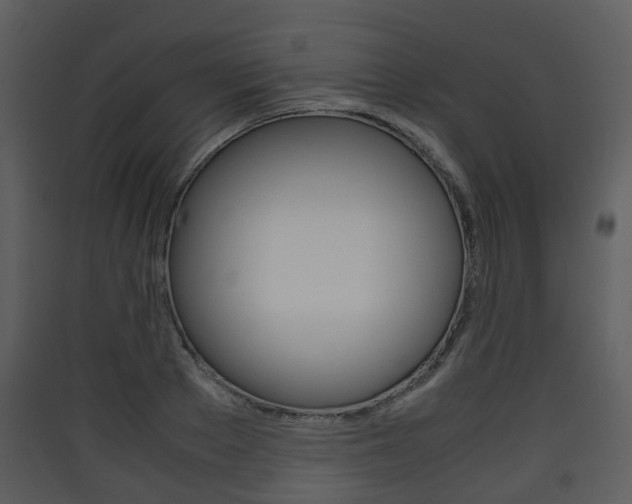 X0000090410889200707130922