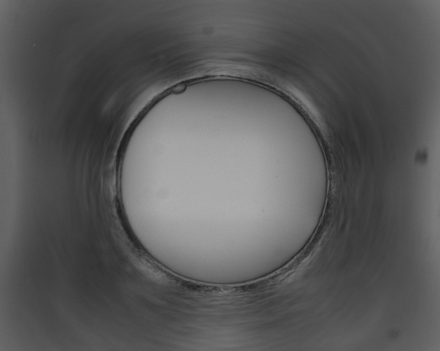 X0000090410891200707130922