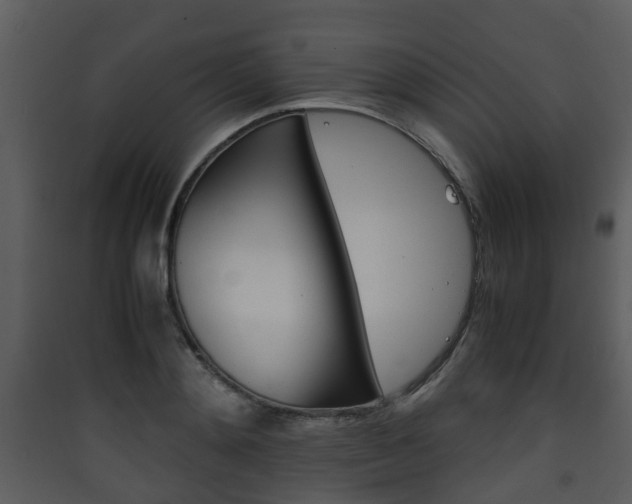 X0000090410892200707130922