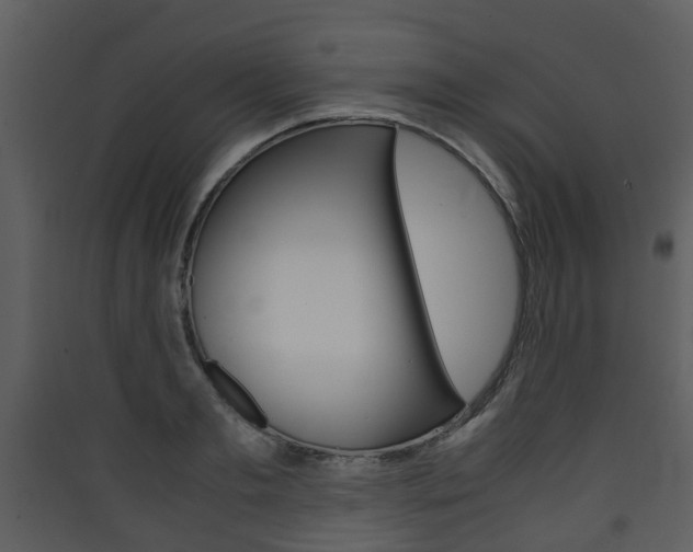 X0000090410893200707130922
