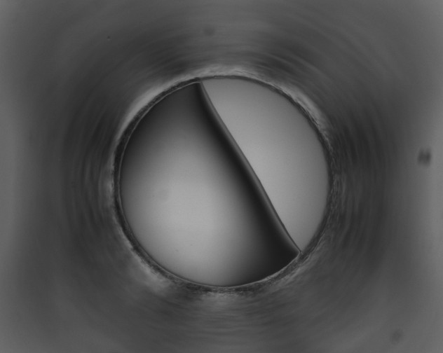 X0000090410894200707130922
