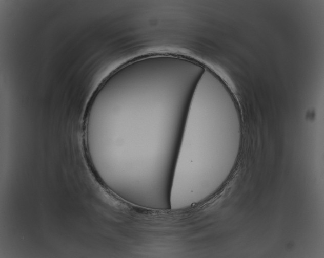 X0000090410895200707130922