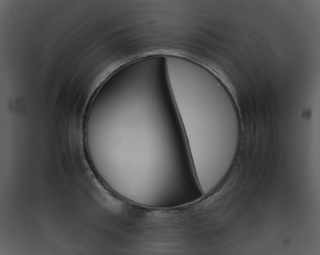 X0000090410898200707130922