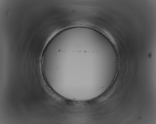 X0000090410899200707130922