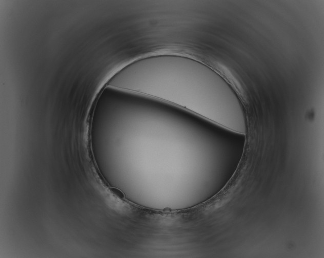 X0000090410900200707130922