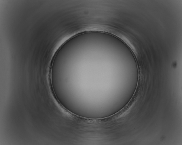 X0000090410901200707130922