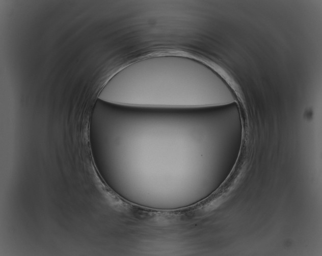 X0000090410905200707130922
