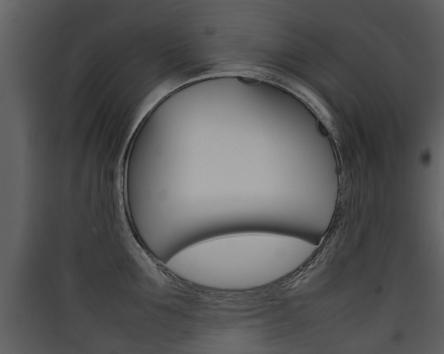 X0000090410907200707130922