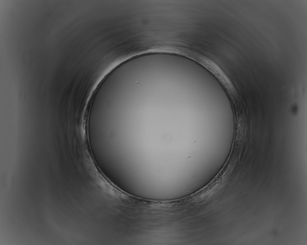 X0000090410908200707130922