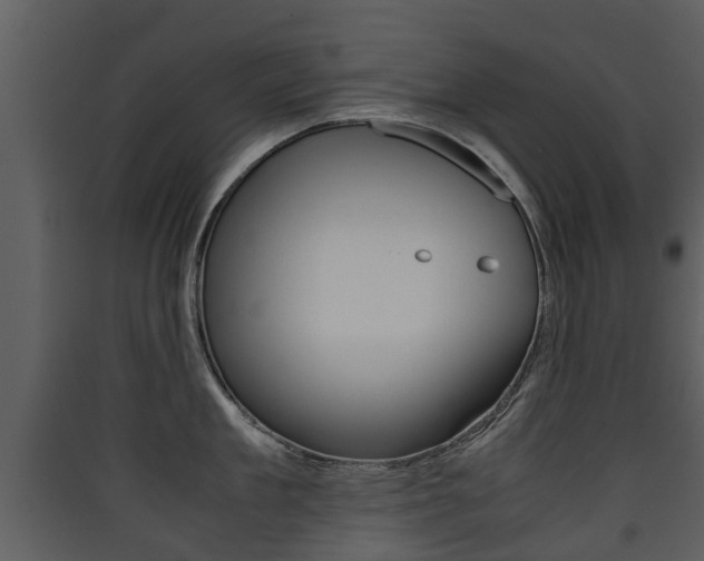 X0000090410909200707130922
