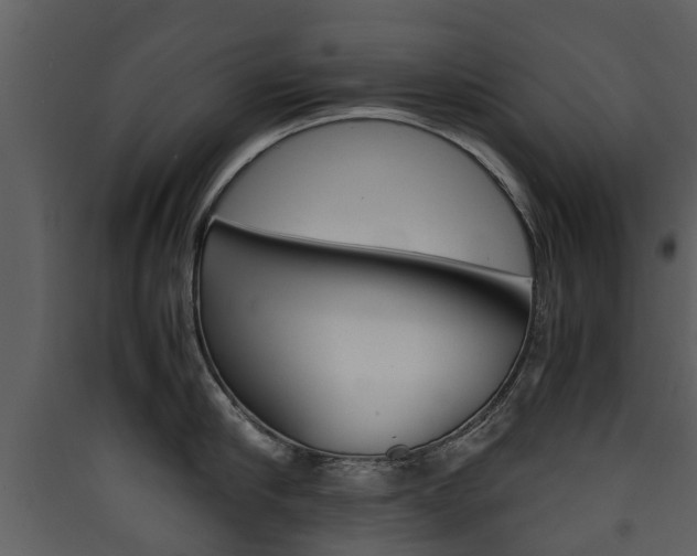 X0000090410910200707130922