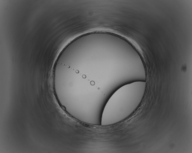 X0000090410911200707130922