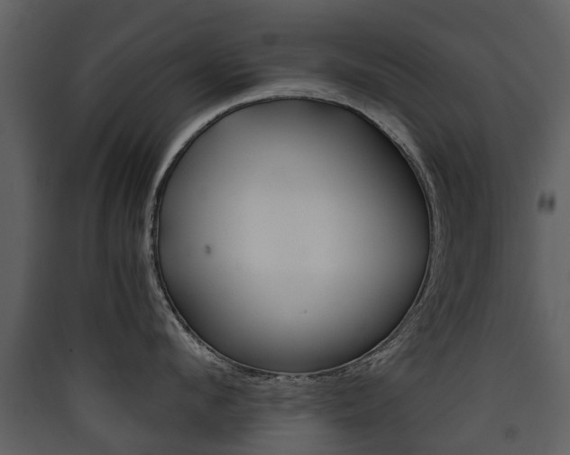 X0000090410912200707130922