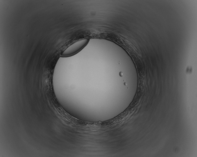 X0000090410914200707130922