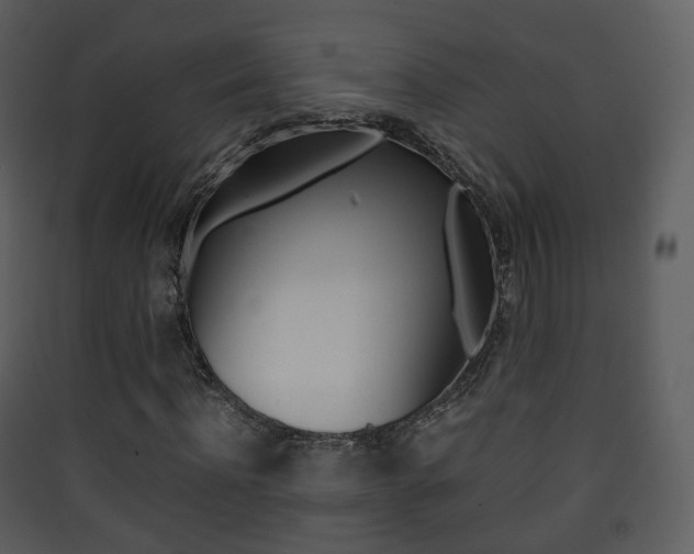 X0000090410916200707130922