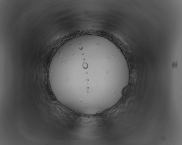 X0000090410917200707130922