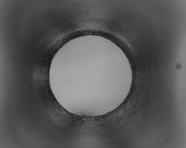 X0000090410918200707130922