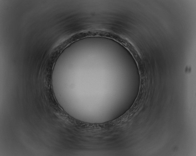 X0000090410919200707130922