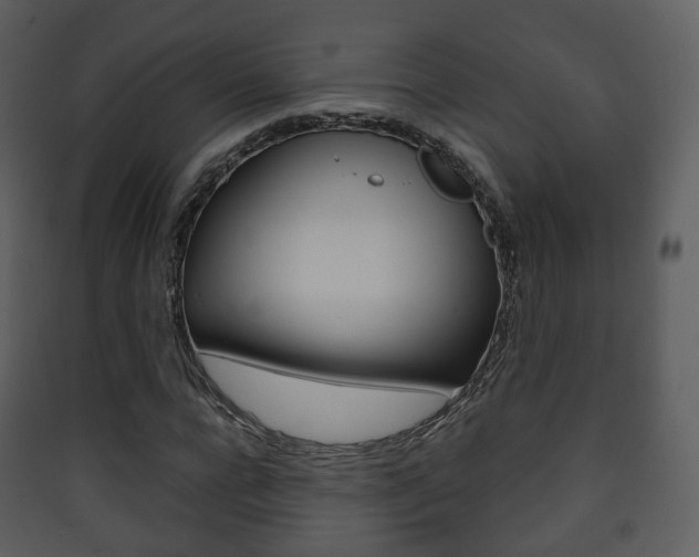 X0000090410920200707130922